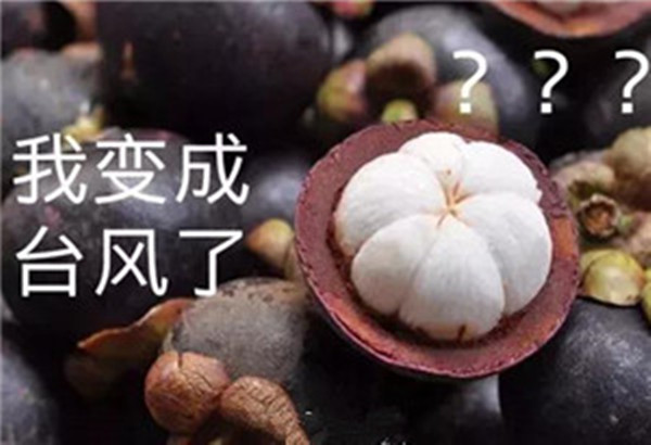 “山竹”還未走遠，但貝朗全自動彎線機已正常上班啦！